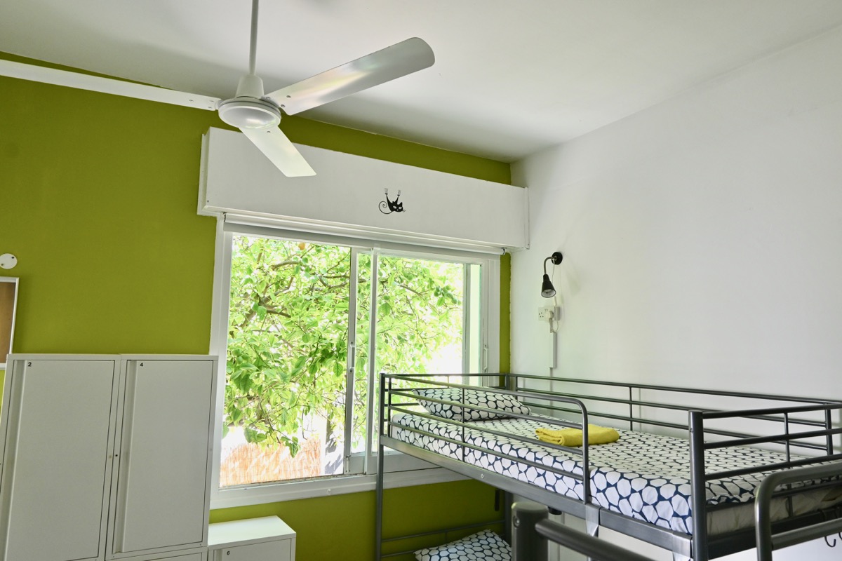 lemongrass hostel